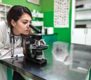 A female veternarian looking to microscope
