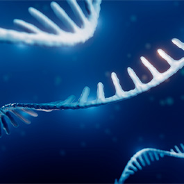 RNA strand