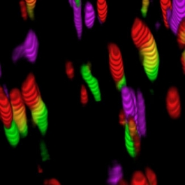 cancer biology