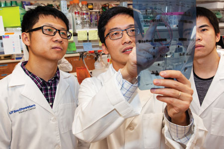 Three scientists in UT Southwestern’s Kidney Cancer program