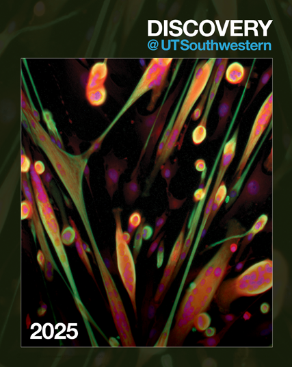 Scientific Report cover