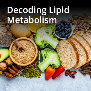 Metabolism